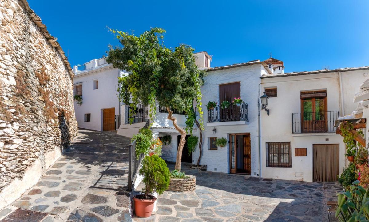 Апартаменты Casa Antonia Capileira La Alpujarra Экстерьер фото
