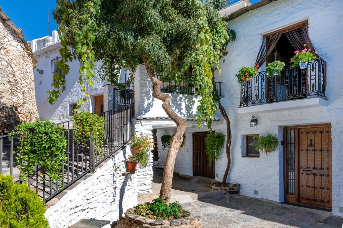 Апартаменты Casa Antonia Capileira La Alpujarra Экстерьер фото